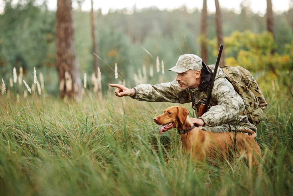 Введены ограничения на охоту в Тверской области Введены ограничения на охоту в Тверской области