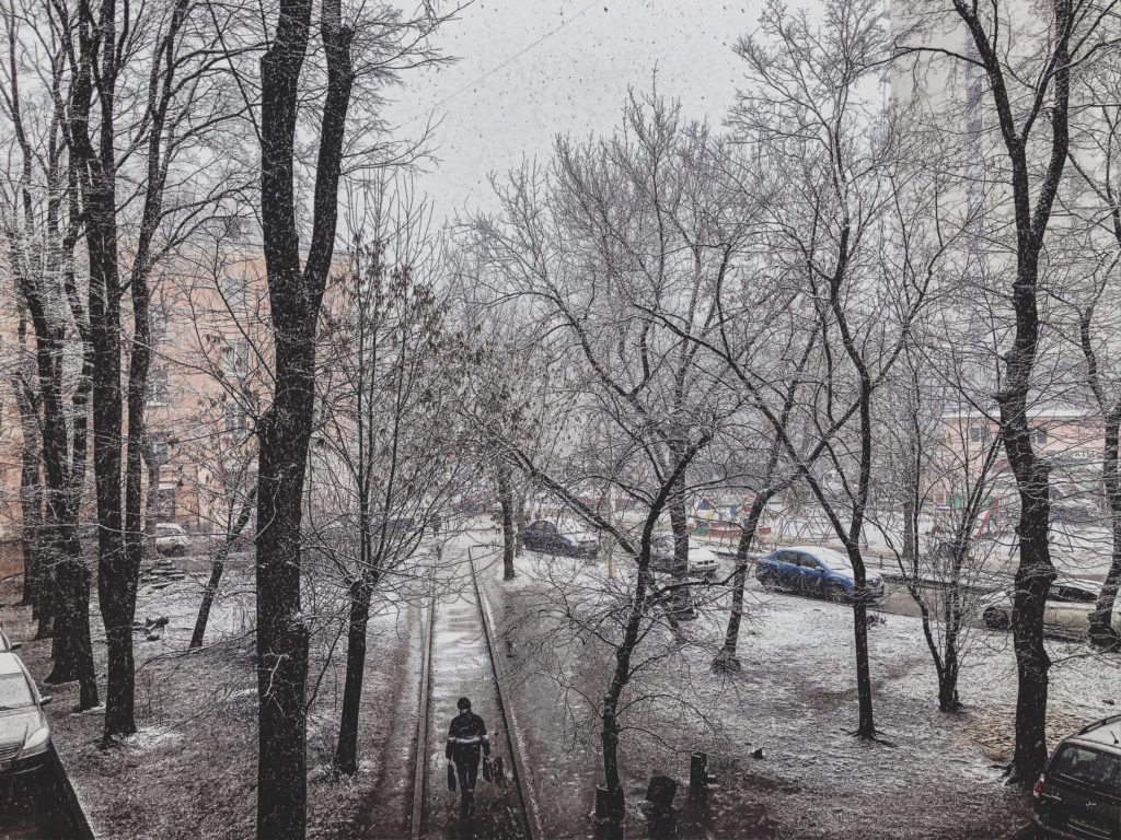 В Тверской области  выпал снег