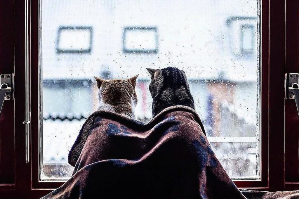 Восьмого марта в Твери ожидается самая капризная погода