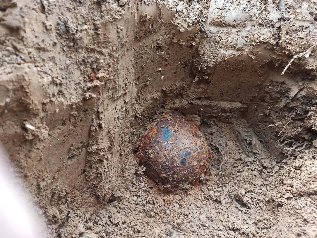 В Тверской области обнаружили останки трех красноармейцев