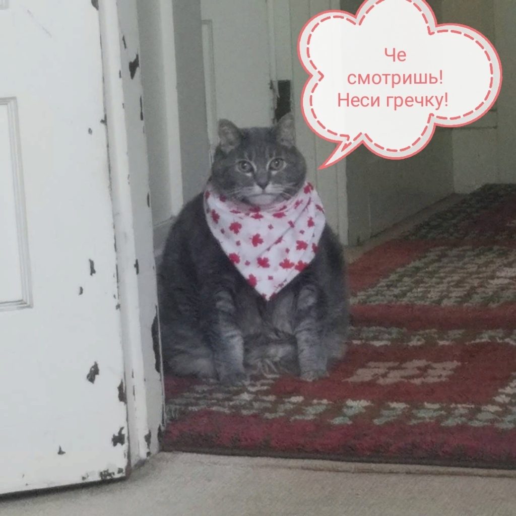 Мемы против паники: каким юмором отозвался интернет на повальную скупку гречки Мемы против паники: каким юмором отозвался интернет на повальную скупку гречки