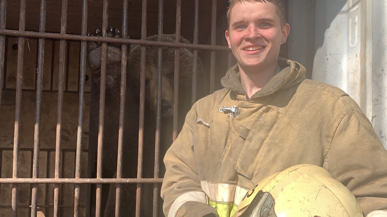 Известный мишка из Твери Мансур чуть не погиб в собственном вольере