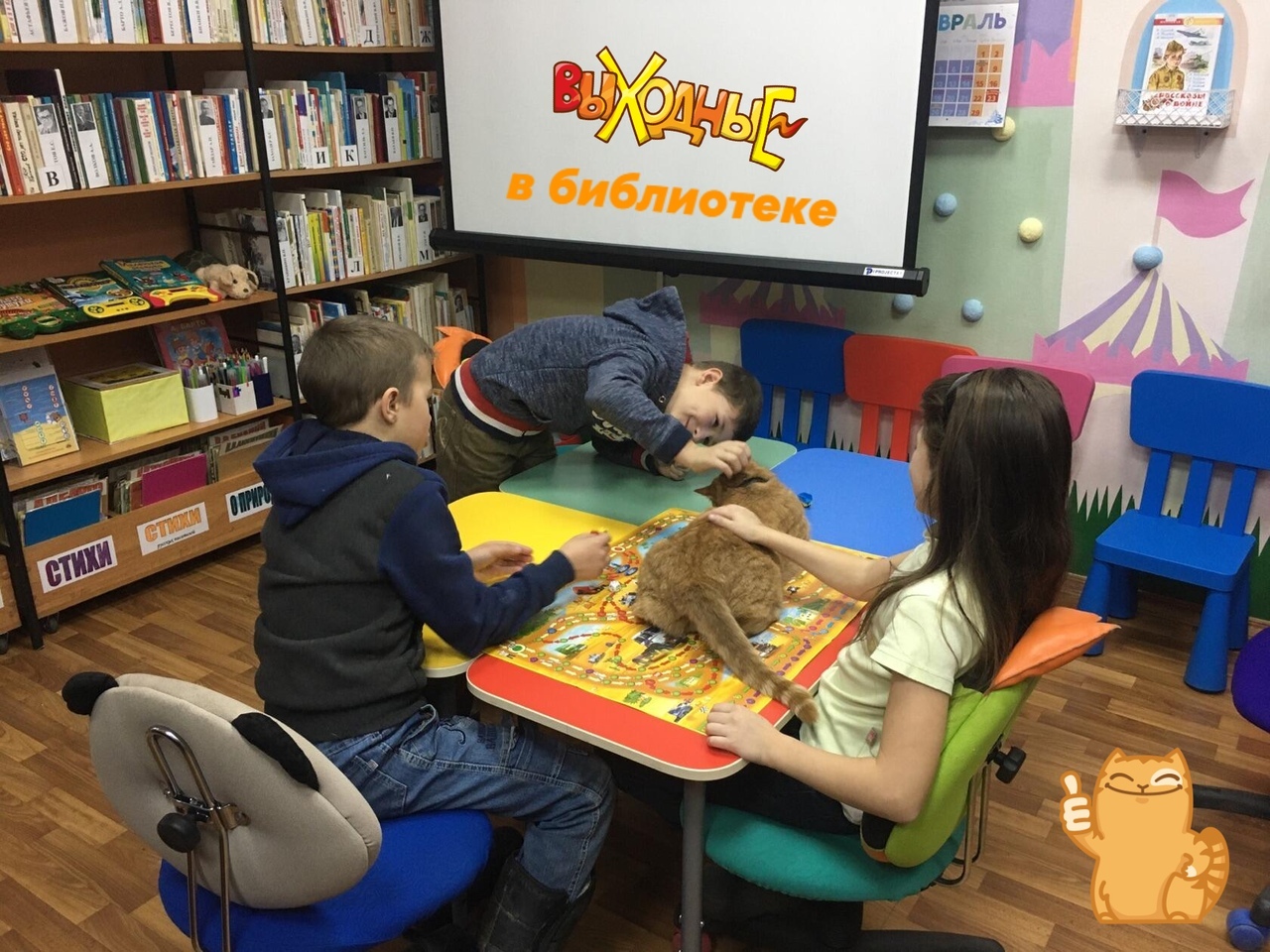 В Тверской области трудоустроили котика