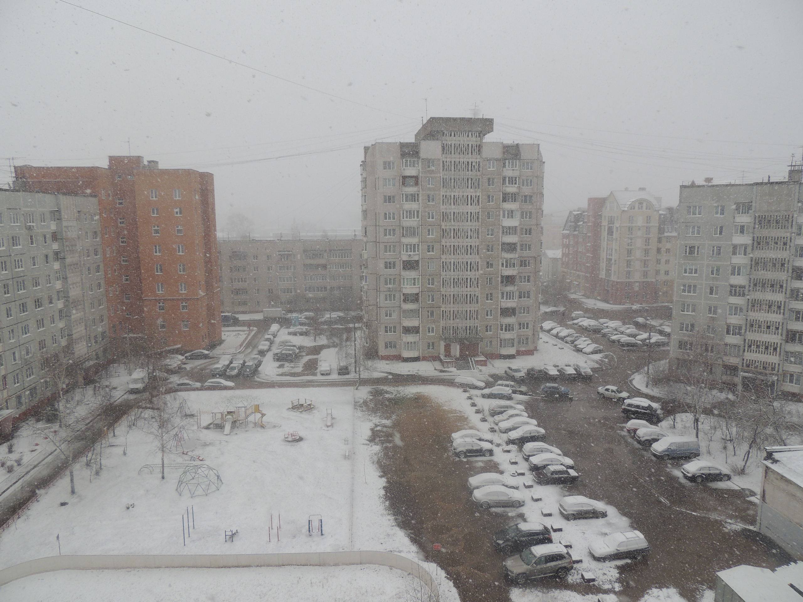 В Тверской области выпал снег