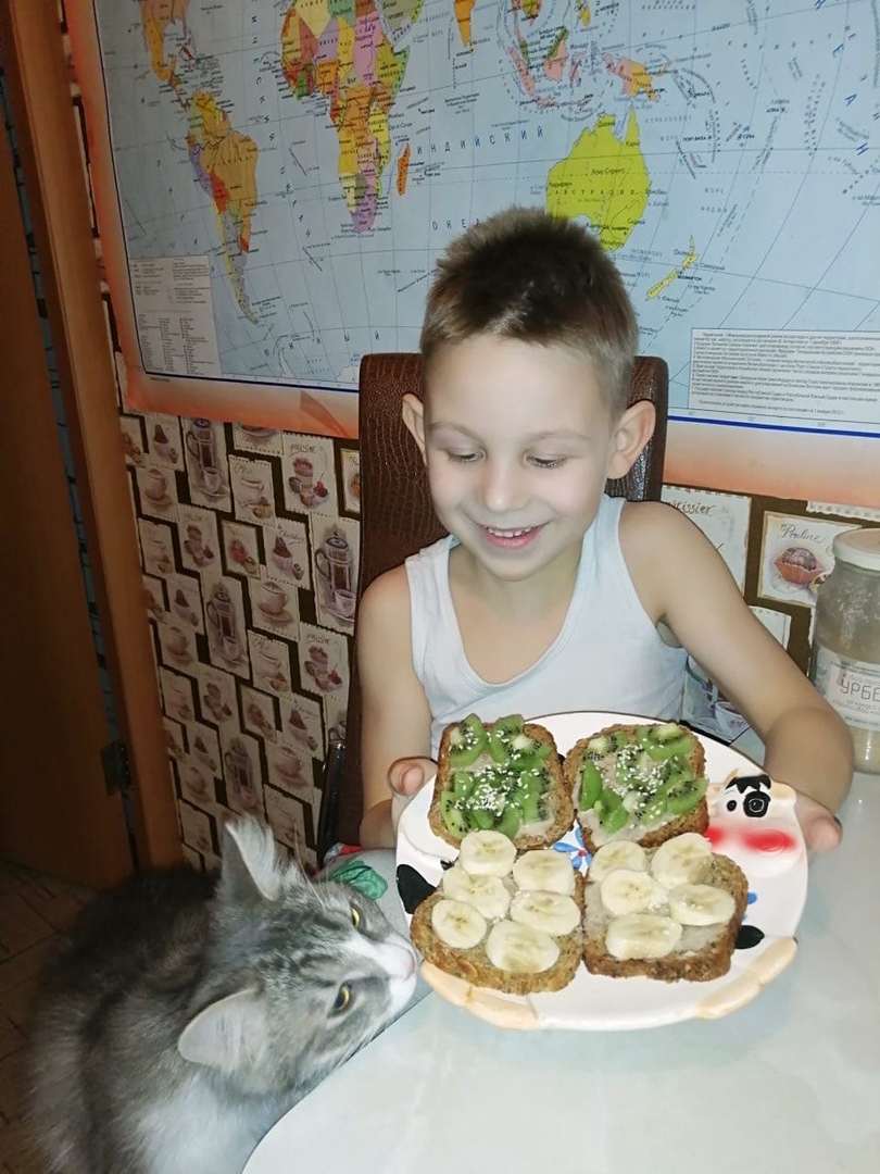 Бездомный кот Грэй обрел семью в Твери и открыл кулинарный талант