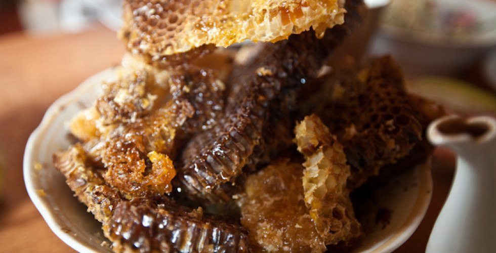 Мужчина поменял престижную работу на тверскую деревню