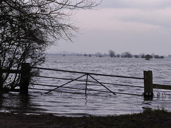 Уровень воды в озерах Тверской области достиг критической отметки