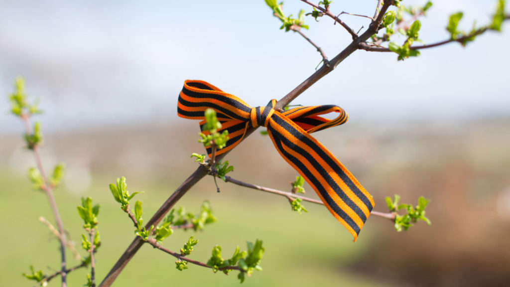 В Ржеве высадят «Сады Победы» В Ржеве высадят «Сады Победы»