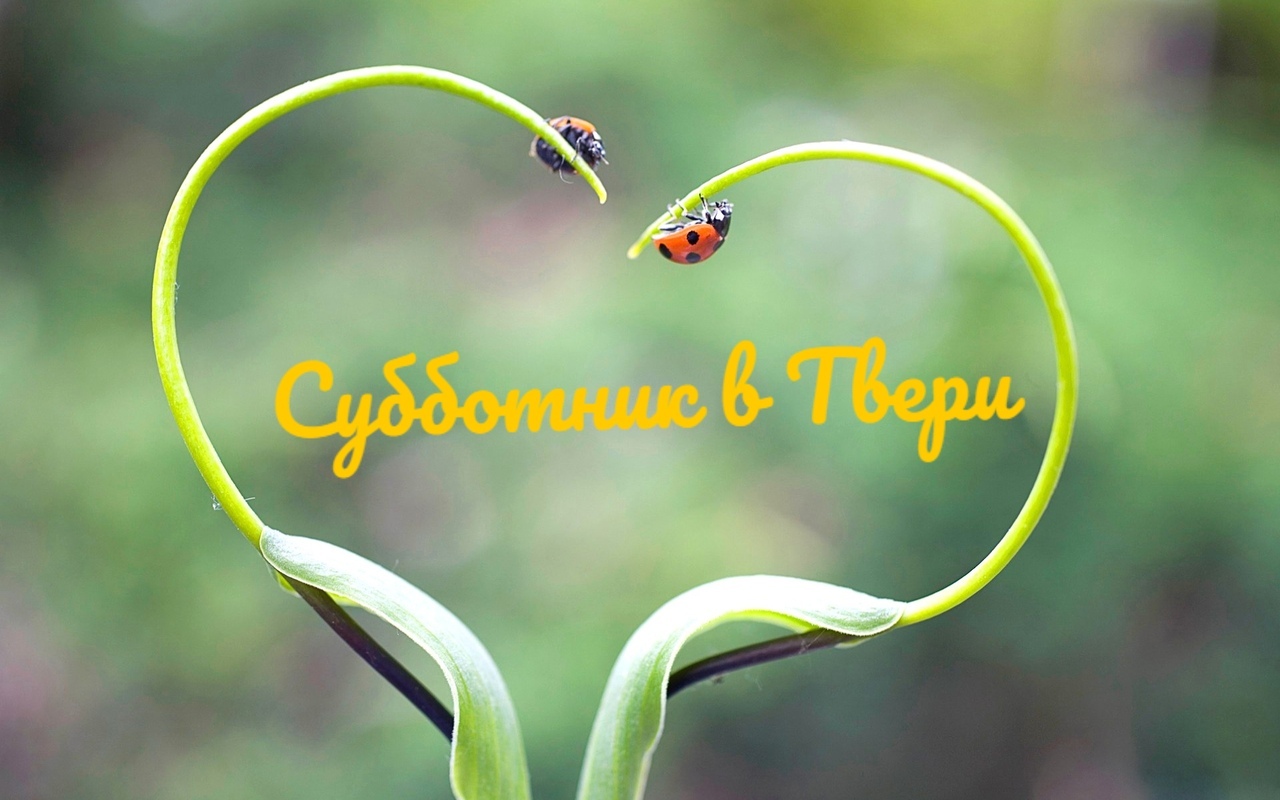 Неравнодушных жителей Твери приглашают на субботник Неравнодушных жителей Твери приглашают на субботник