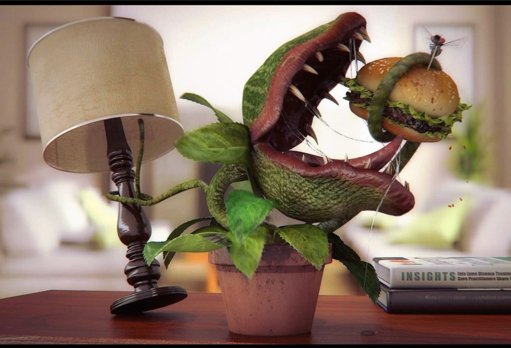 Ботанический сад ТвГУ приглашает покормить хищные растения