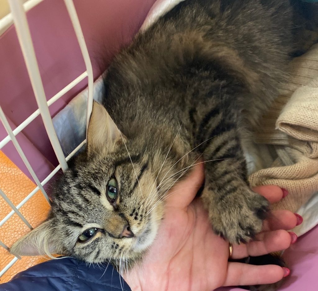 В Твери не смогли спасти малыша В Твери не смогли спасти малыша