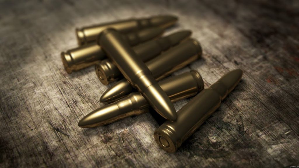 В Тверской области за хранение патронов осудили мужчину