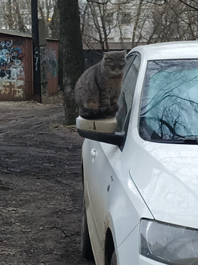 Охранная видеокамера нового поколения обнаружена на автомобиле в Твери