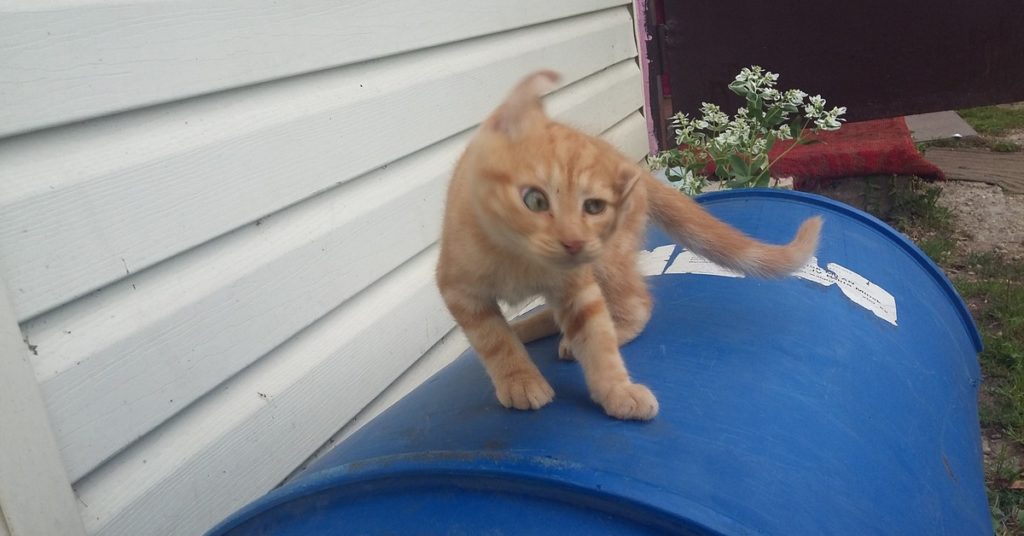 В Тверской области объявили штормовое предупреждение