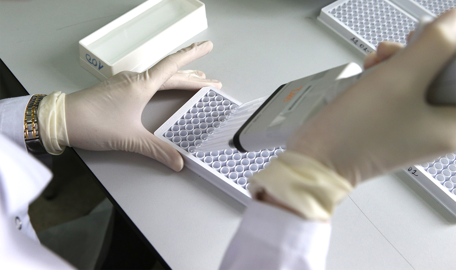 Тверь присоединяется к борьбе с вирусом папилломы человека