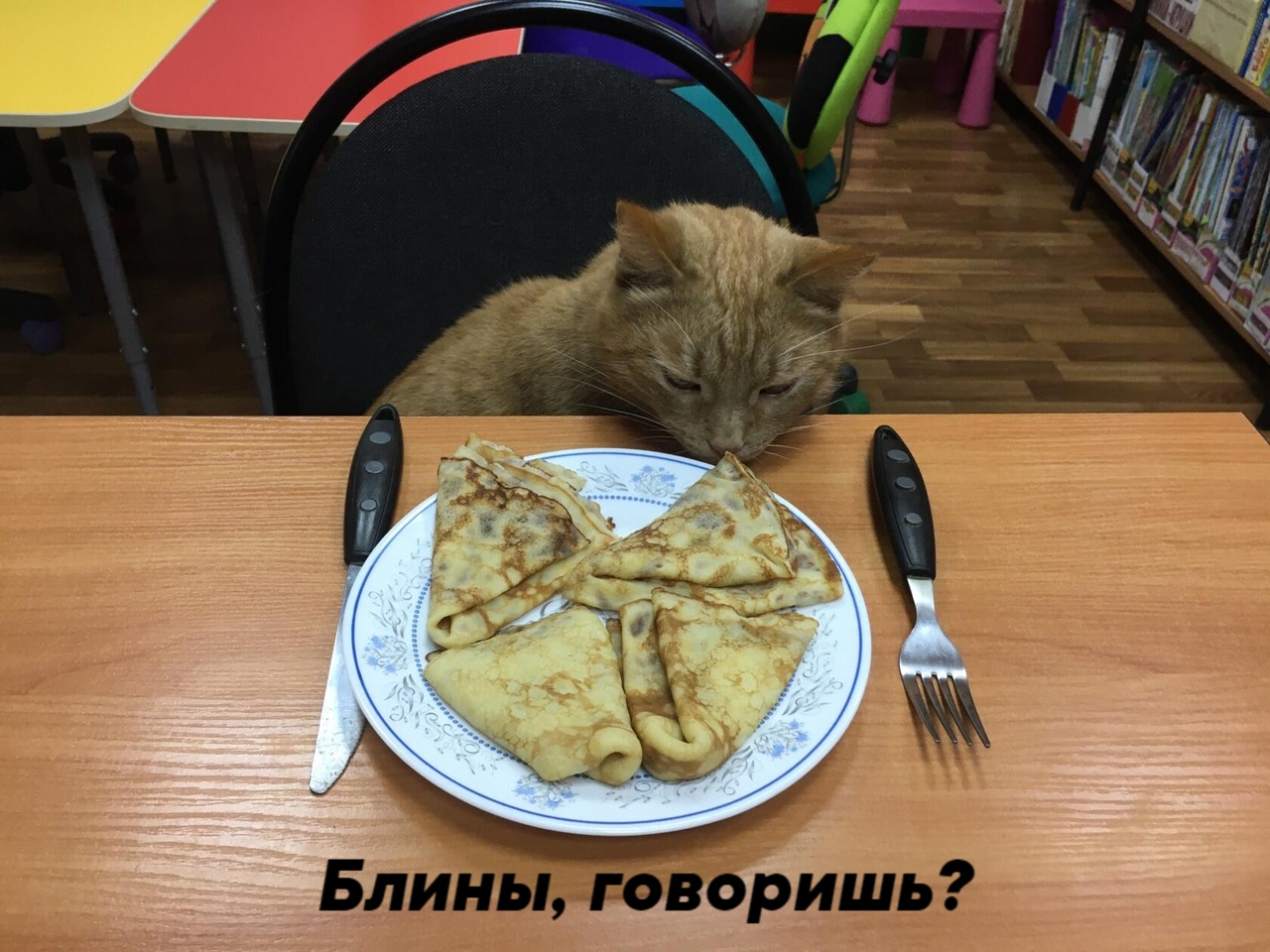 В Тверской области трудоустроили котика