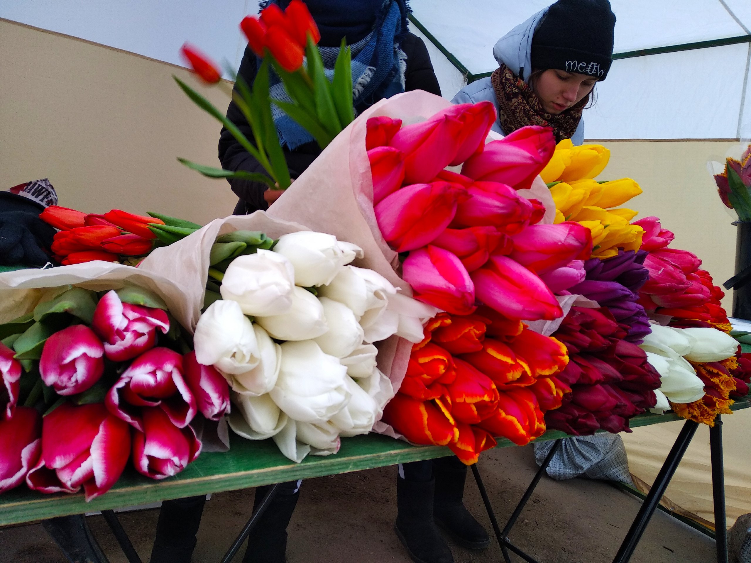 Почём букеты: В Твери начался цветочный бум перед 8 марта