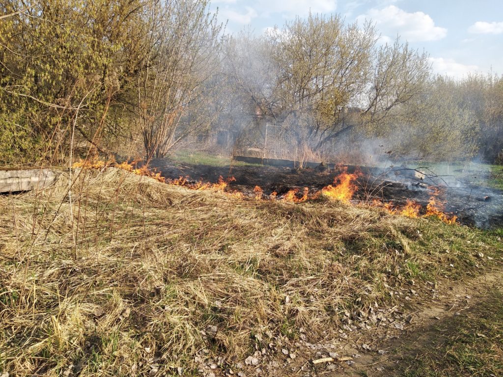 МЧС по Тверской области рассылает СМС о пале травы