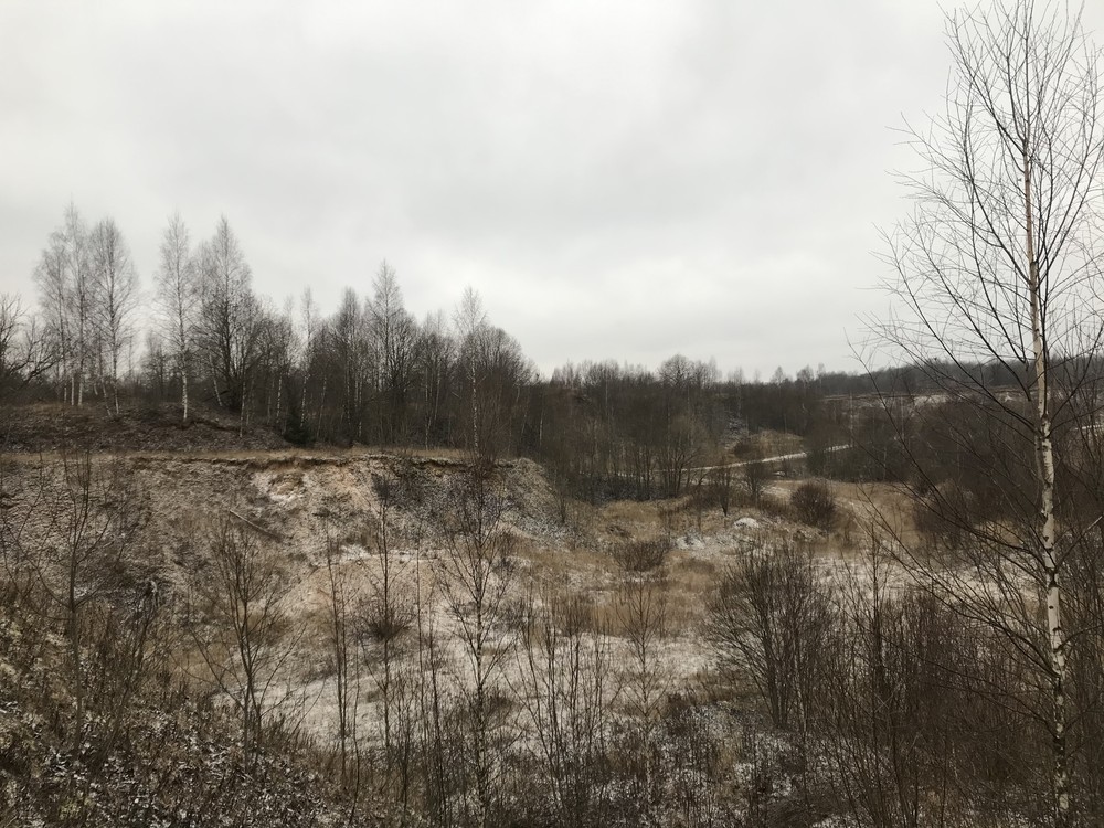 Собственника из Тверской области обязали ввести в оборот неиспользуемые земли Собственника из Тверской области обязали ввести в оборот неиспользуемые земли