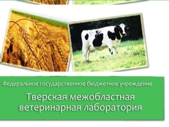 Тверская ветлаборатория сообщила об особом режиме работы Тверская ветлаборатория сообщила об особом режиме работы