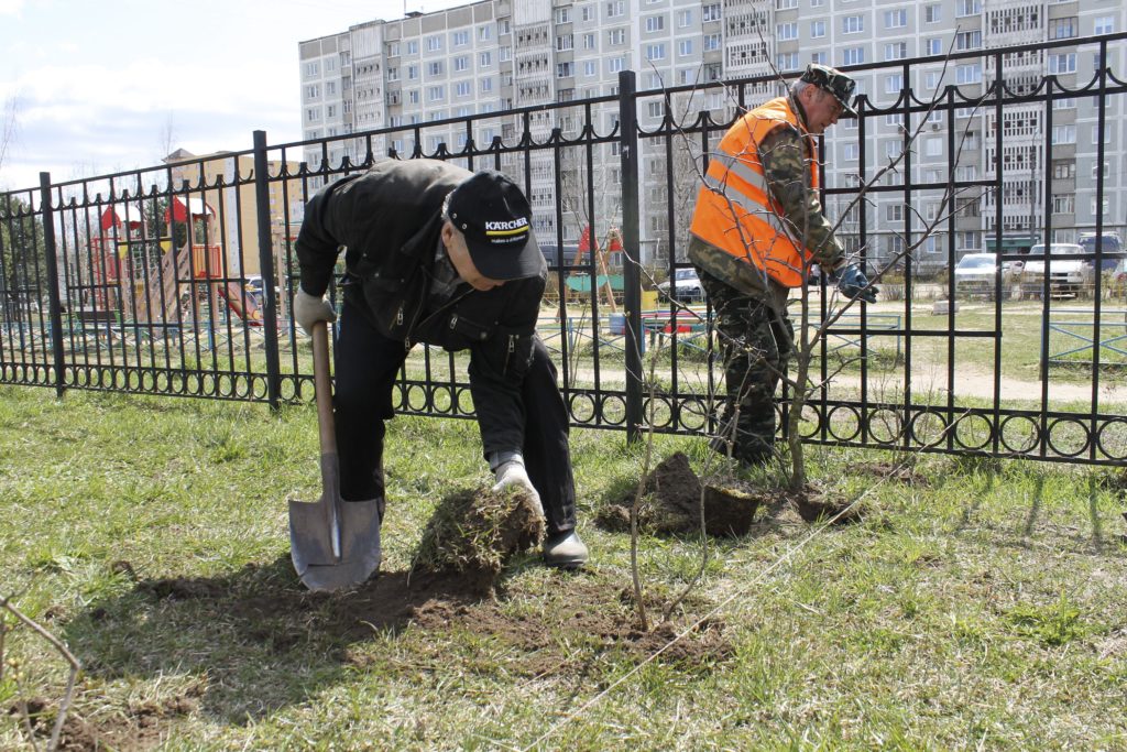 В детском саду Твери появилась аллея сирени