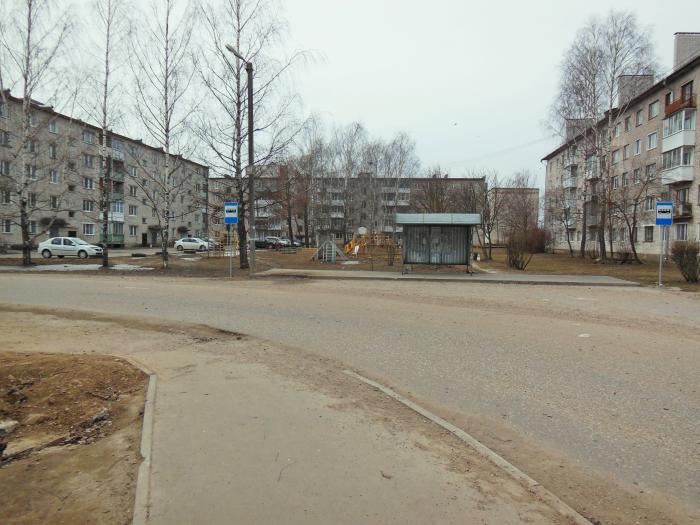 В Тверской области мужчина нашел незаконное растение на остановке В Тверской области мужчина нашел незаконное растение на остановке
