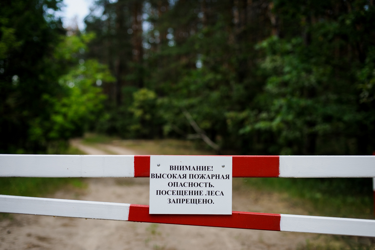 В Тверской области ввели временный запрет на посещение лесов В Тверской области ввели временный запрет на посещение лесов