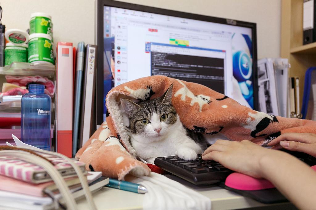 Расширен список предприятий, которые продолжат работу в Тверской области Расширен список предприятий, которые продолжат работу в Тверской области