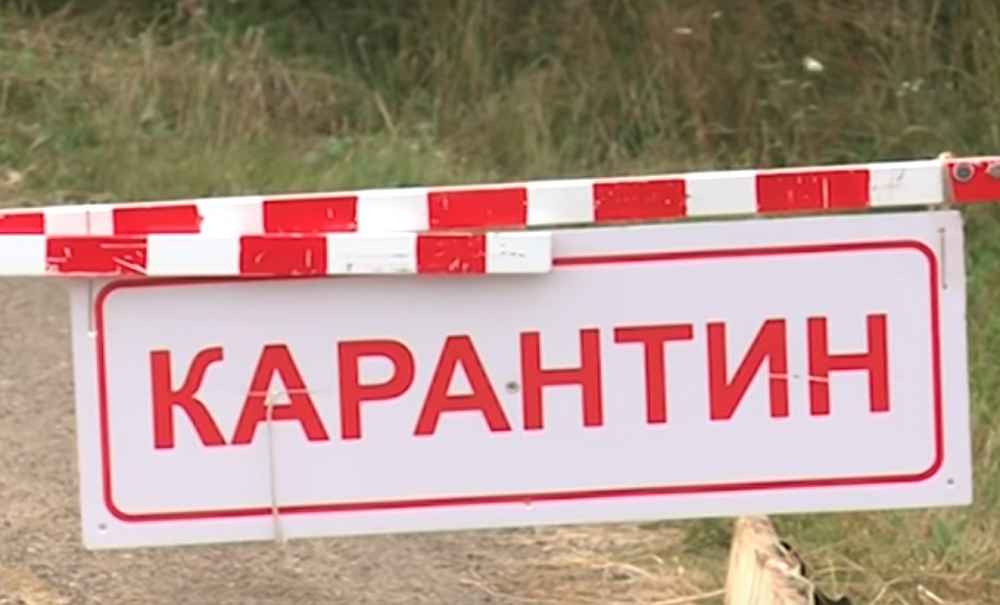 В Калязинском районе Тверской области до 30 мая ввели карантин