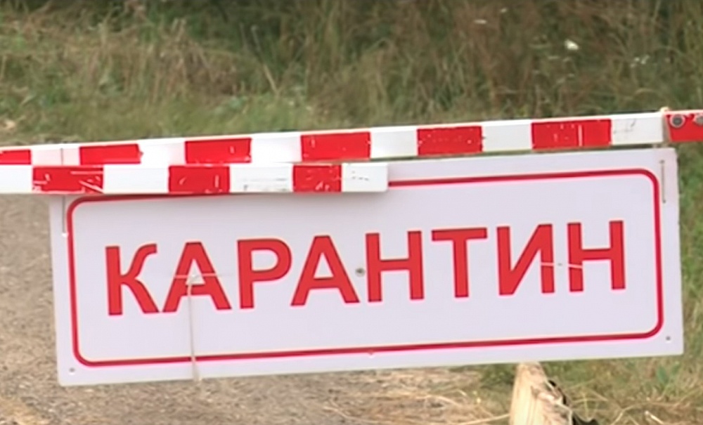 В Калязинском районе Тверской области до 30 мая ввели карантин В Калязинском районе Тверской области до 30 мая ввели карантин
