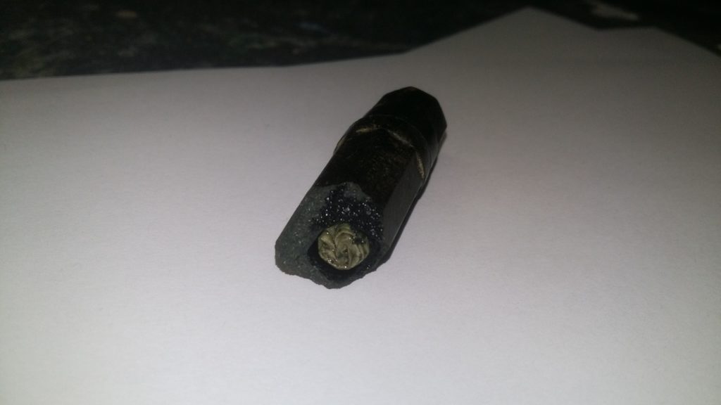 Нашлись родственники погибшего в Тверской области красноармейца