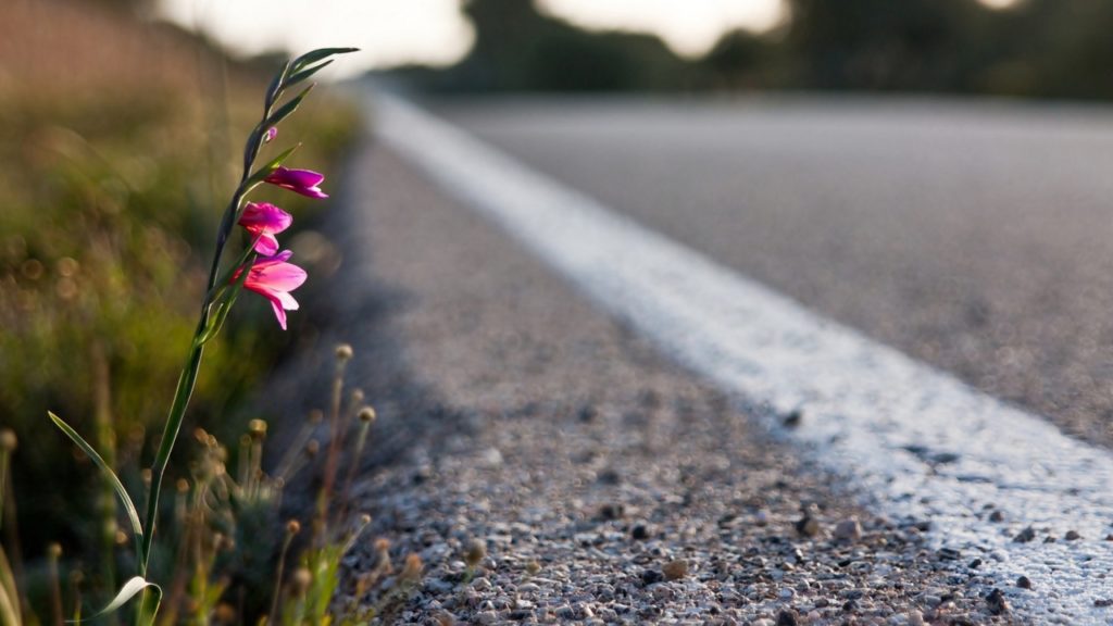 За сутки на дорогах Тверской области никто не пострадал За сутки на дорогах Тверской области никто не пострадал