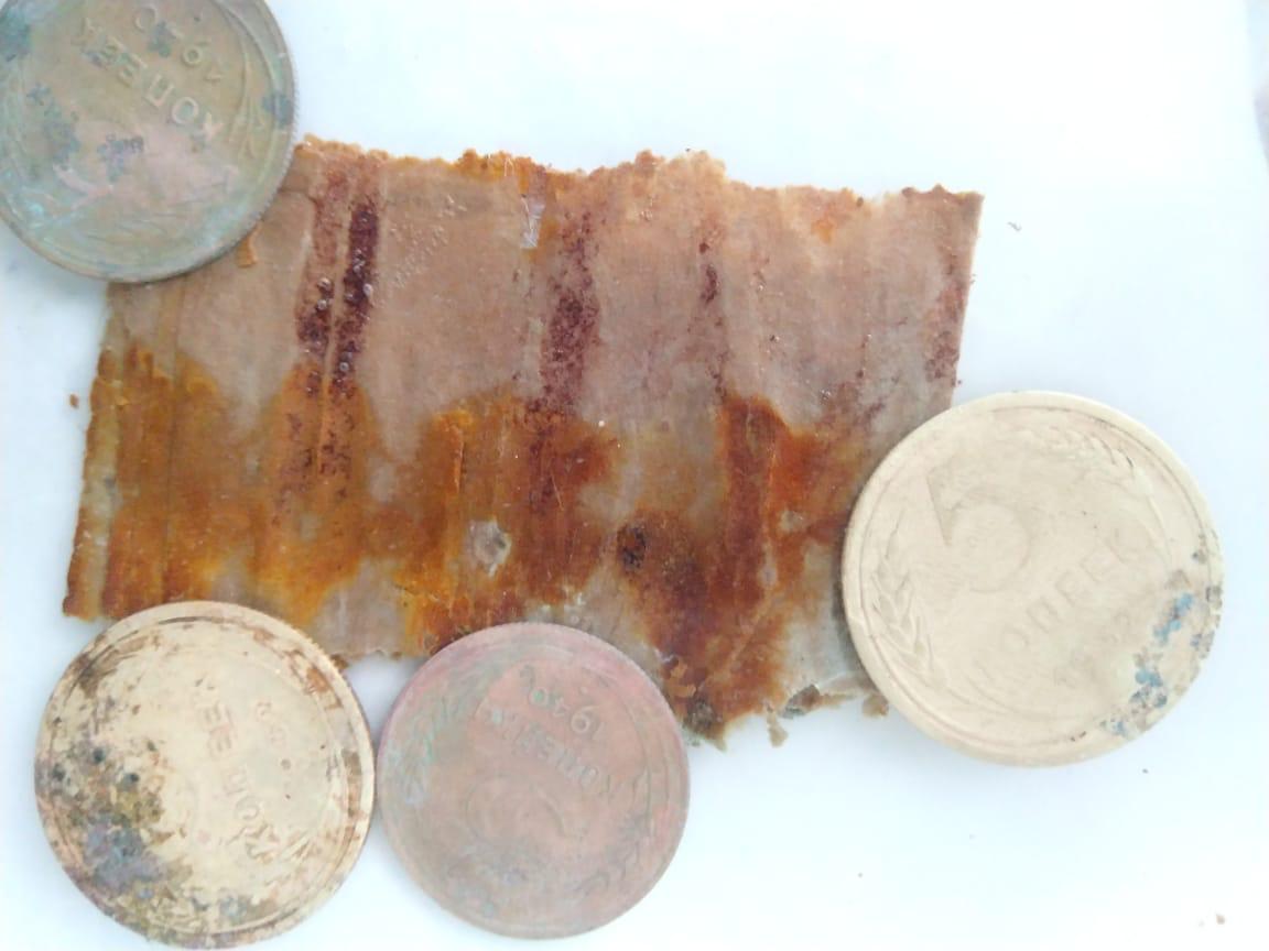 В Тверской области ищут родственников солдата, оставившего послание в винтовочной гильзе