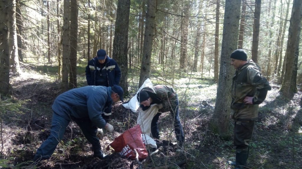 В Тверской области обезвредили несколько десятков мин и снарядов времен войны В Тверской области обезвредили несколько десятков мин и снарядов времен войны