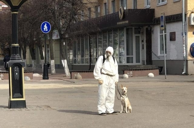 Актуальная статистика коронавируса в Твери, России, мире