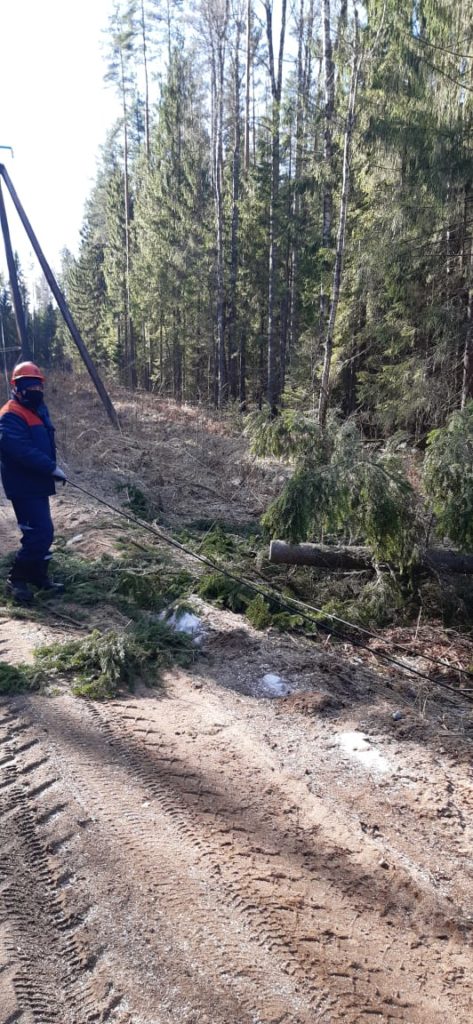 Энергетики устранили последствия сильного ветра в Тверской области