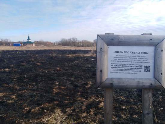 В Тверской области пожар уничтожил поле с молодыми дубами В Тверской области пожар уничтожил поле с молодыми дубами
