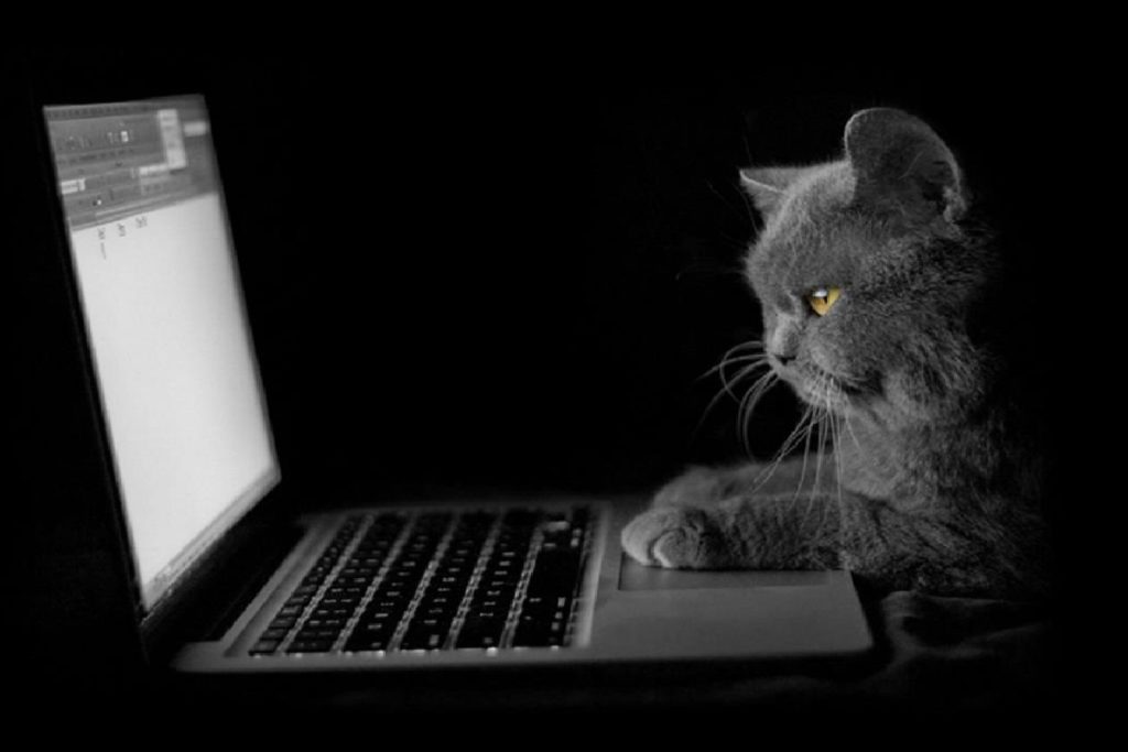 Роструд: россияне, которые работают в апреле, получат обычную зарплату Роструд: россияне, которые работают в апреле, получат обычную зарплату