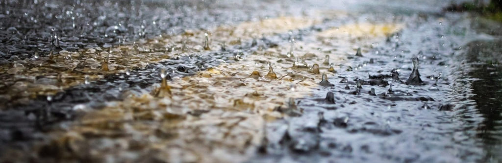 Жителей Твери ждет дождливая неделя Жителей Твери ждет дождливая неделя