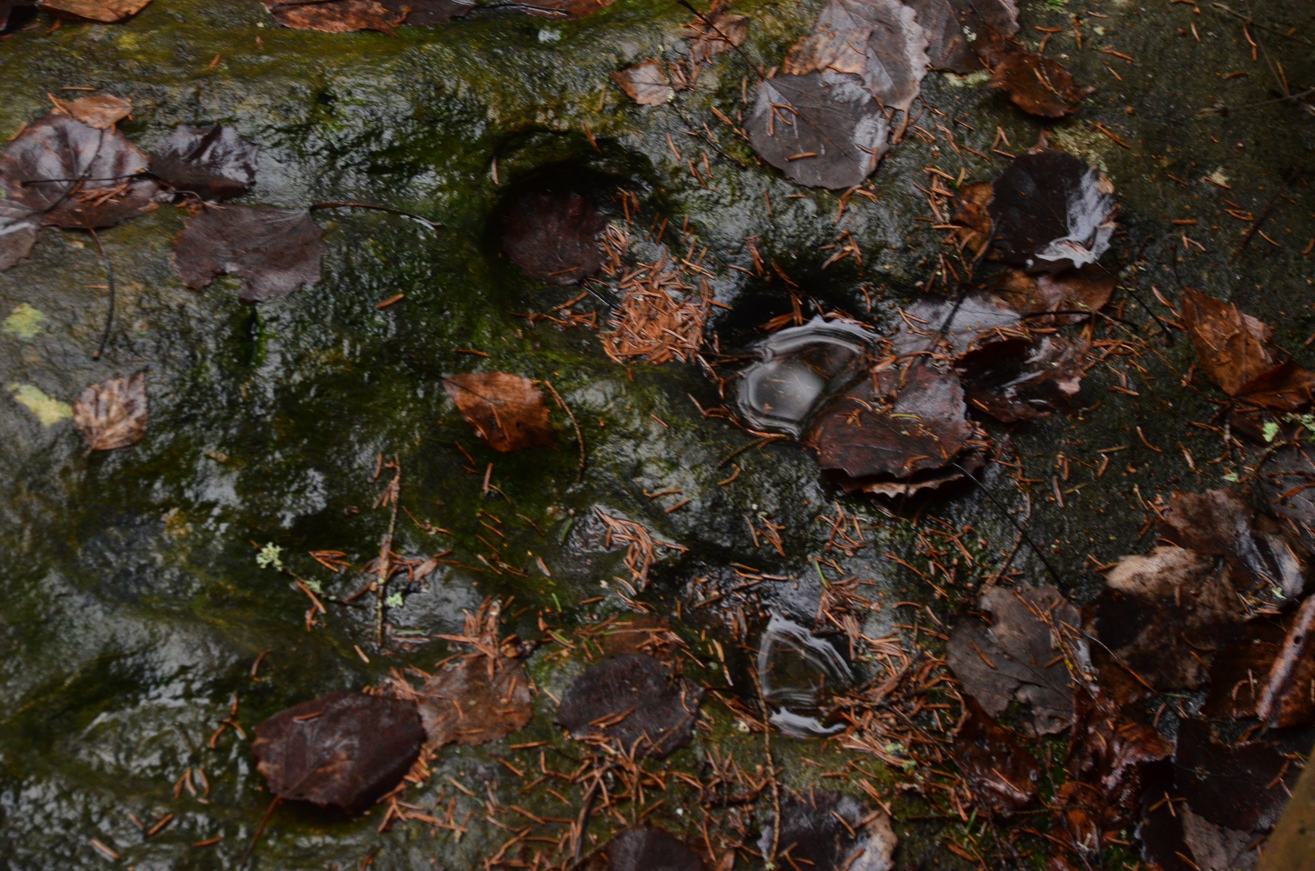 На камне-следовике в Тверской области нашли следы святителя Николая Чудотворца