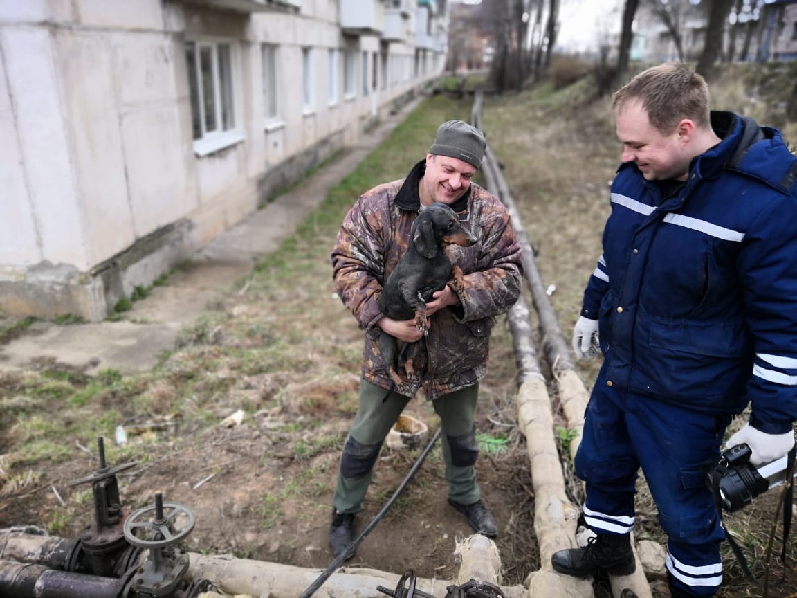 В Тверской области прошла операция по спасению милой собачки В Тверской области прошла операция по спасению милой собачки