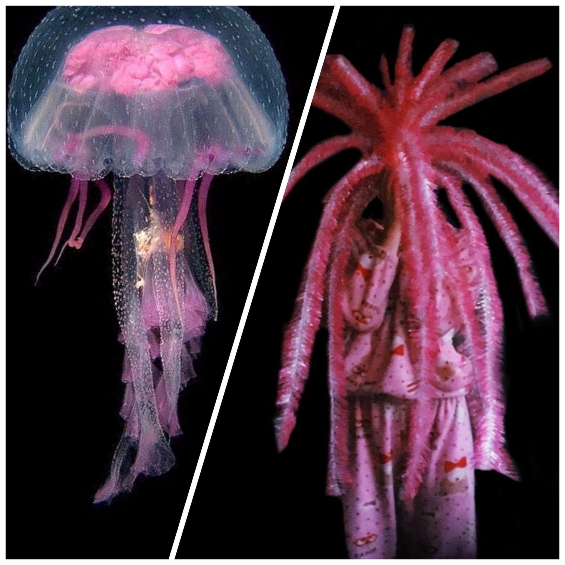 В Тверской области школьники воссоздали художественные шедевры подручными средствами