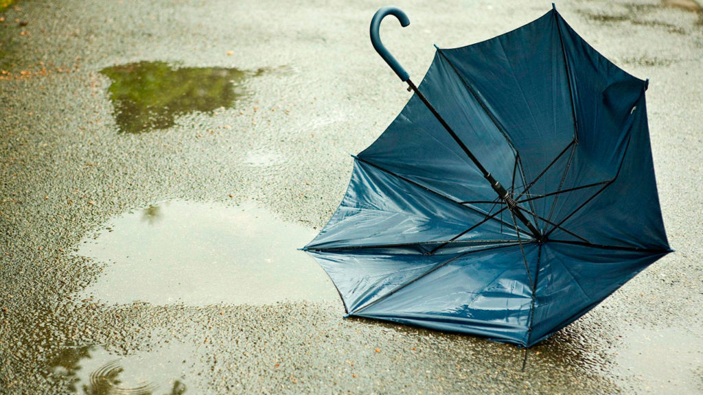 МЧС предупреждает о сильном ветре в Тверской области