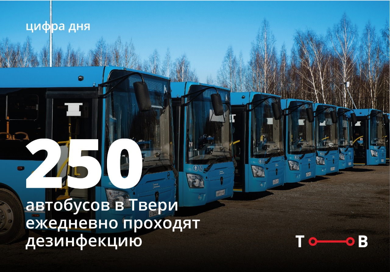 Синие автобусы вышли на новый маршрут в Твери Синие автобусы вышли на новый маршрут в Твери