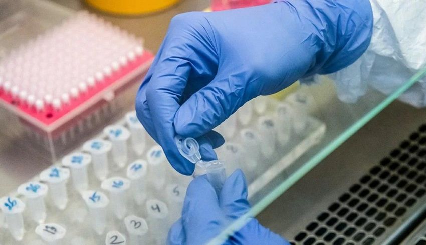 В Тверской области за сутки на коронавирус проверили около 1500 человек В Тверской области за сутки на коронавирус проверили около 1500 человек