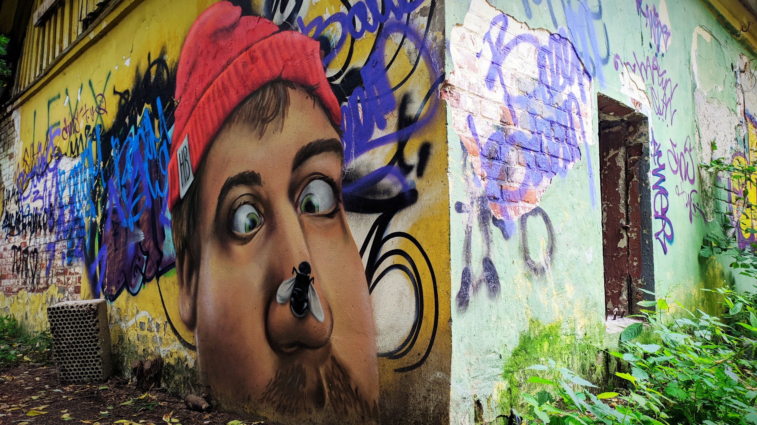 В Твери появилось красивое граффити с интересным визуальным эффектом