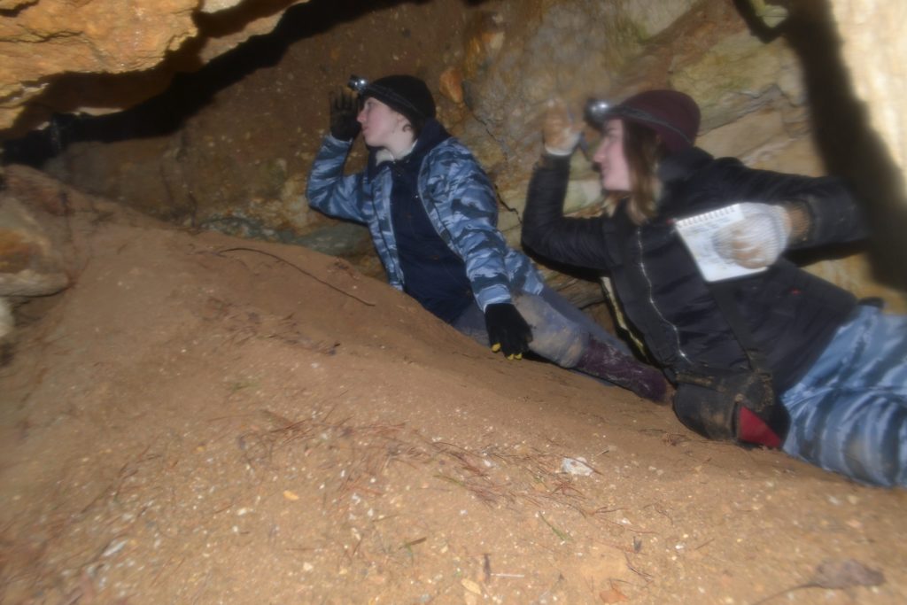 Не убоявшись коронавируса: учитель биологии исследовала 1847 летучих мышей в Тверской области