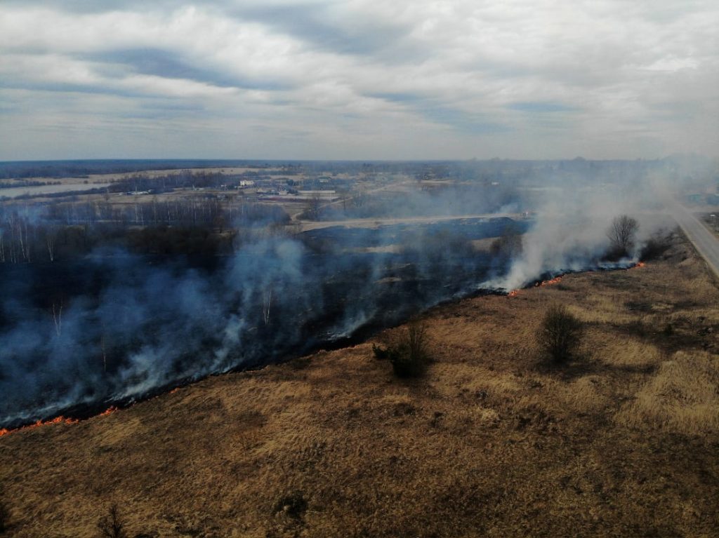 Под Тверью начался крупный пал травы