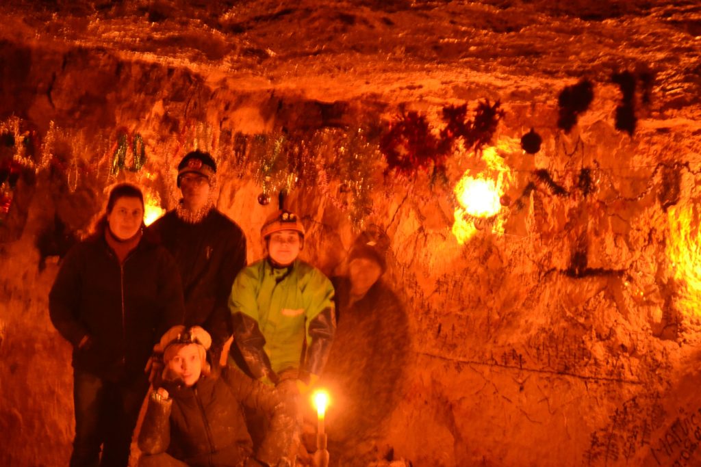 Не убоявшись коронавируса: учитель биологии исследовала 1847 летучих мышей в Тверской области