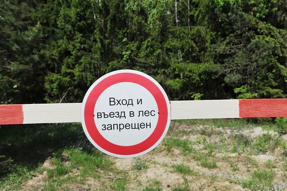 Жителям Тверской области все еще нельзя ходить в лес Жителям Тверской области все еще нельзя ходить в лес